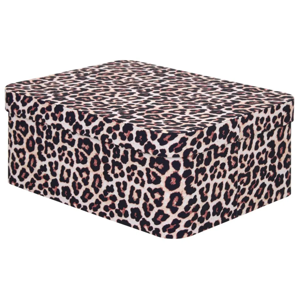 Boîte, 4 produits, Beige