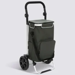 Chariot de course, 2 roues, Vert