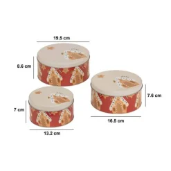 Lot de 3 boîtes de conservation, L.19,5/16,5/13,2 cm
