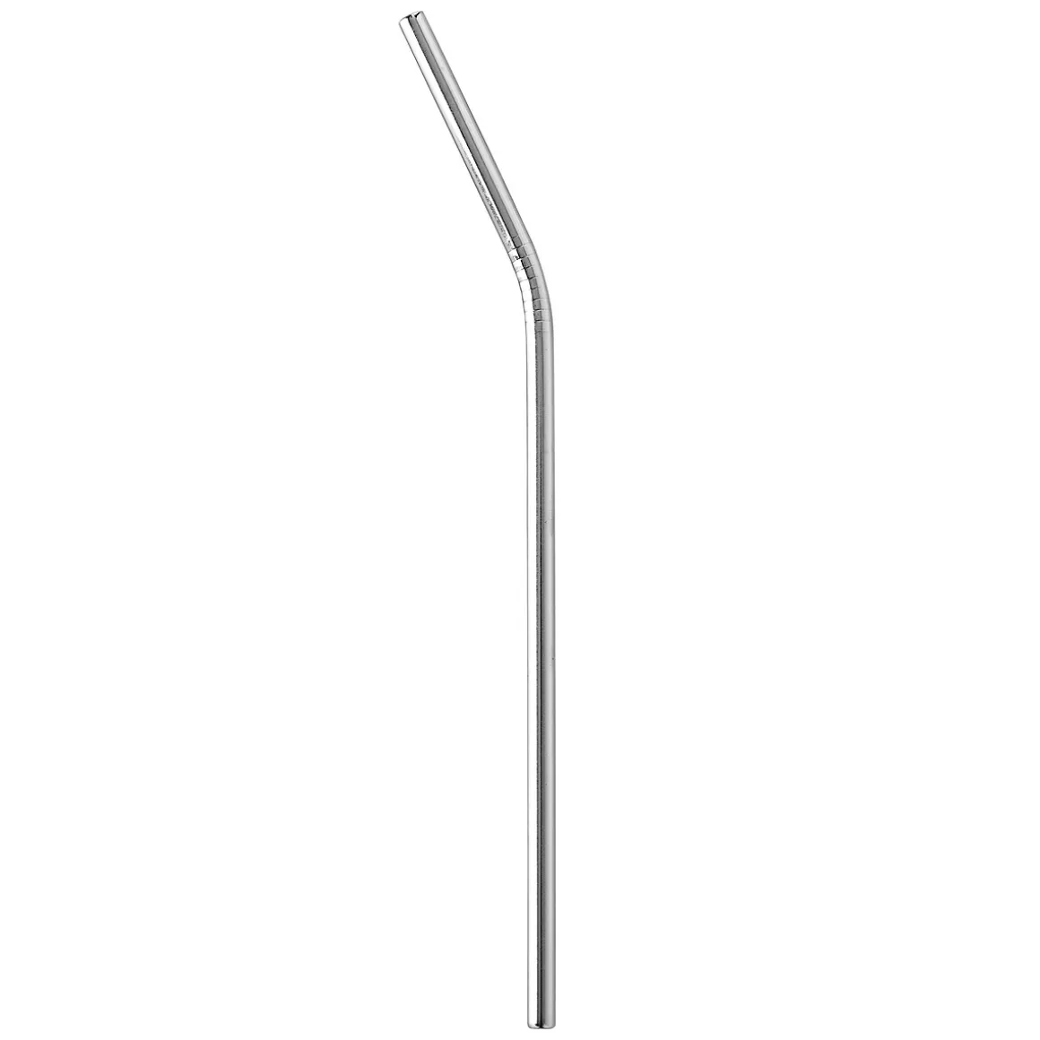 Lot de 6 pailles avec goupillon en inox