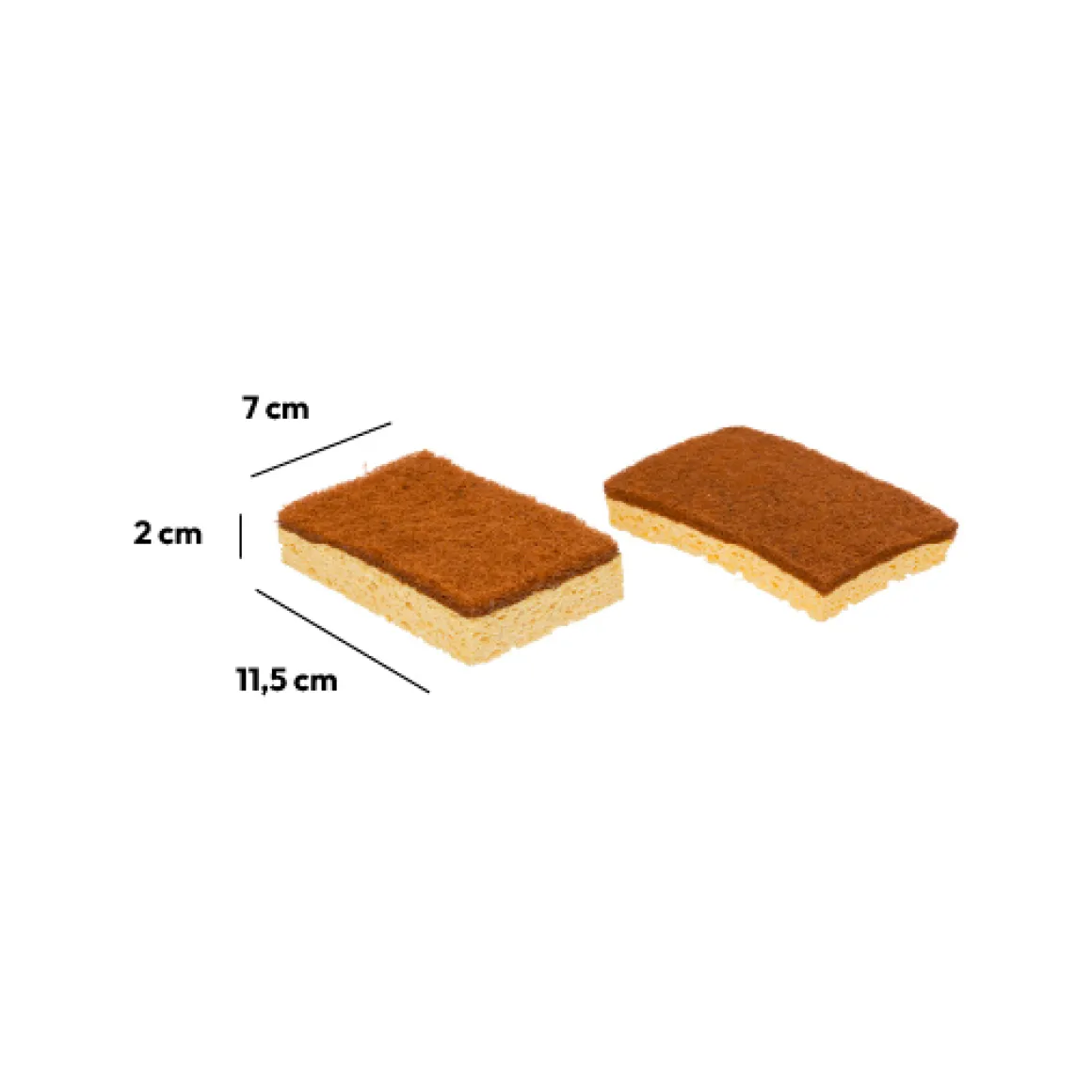 Lot de 2 éponges en coco
