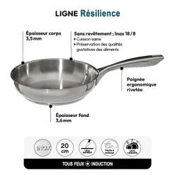 Poêle Inox, 20 cm